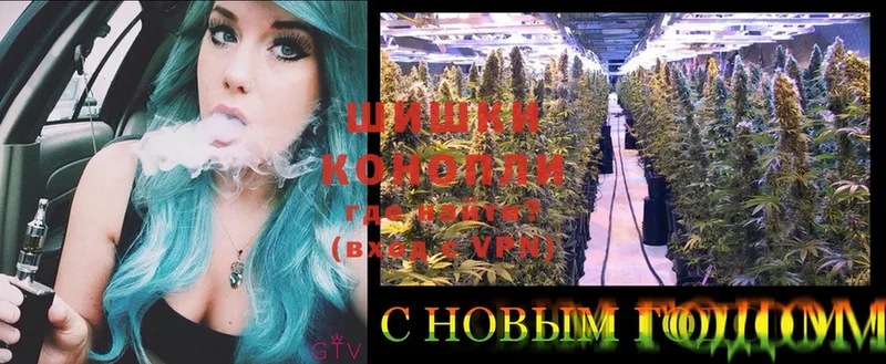 Каннабис SATIVA & INDICA  дарнет шоп  Кириши 